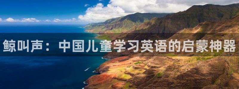 必一体育合法吗