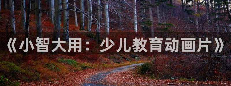 必一体育最新官网入口首页