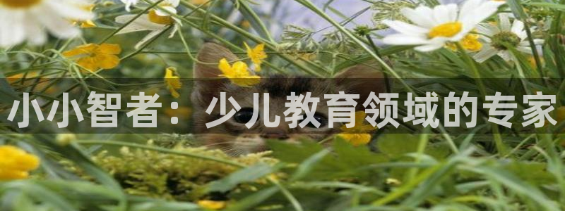 必一体育bsport下载