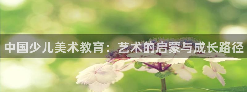 必一体育app官方