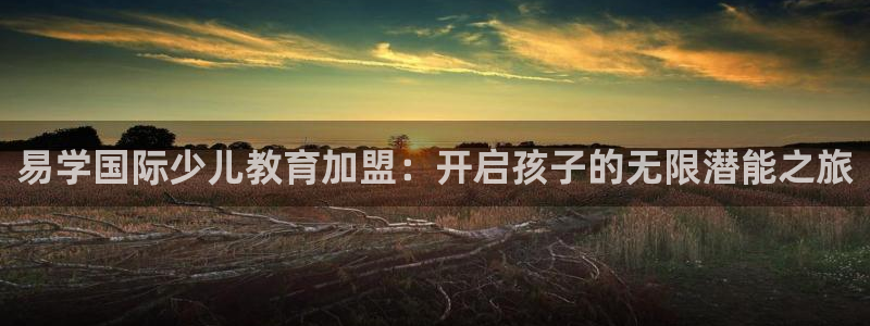 必一体育合法吗