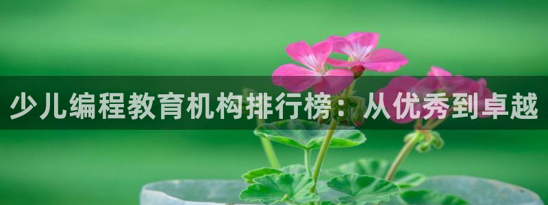 必一体育是哪里的台子