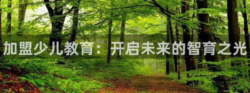 必一体育在哪下