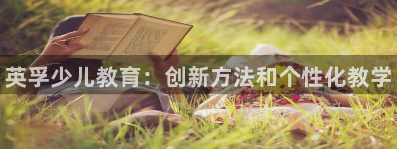 必一体育电子app