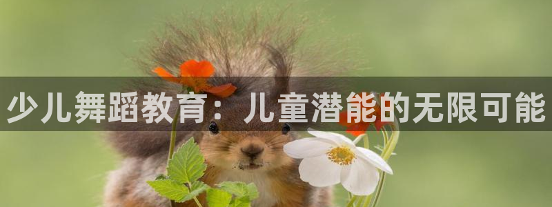 必一体育sport下载
