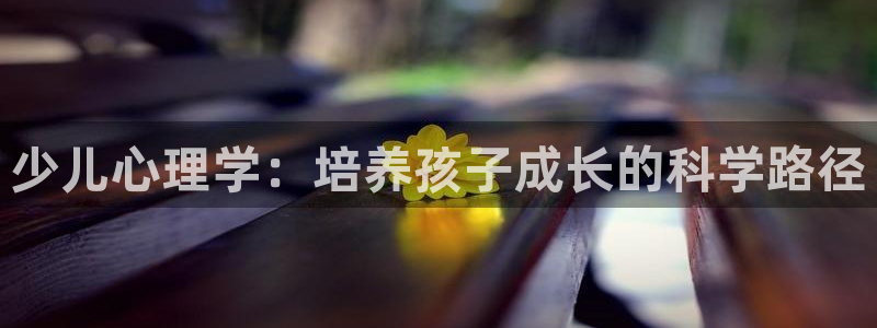 必一体育bsport下载