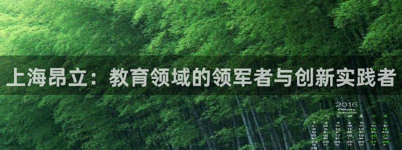 必一体育app下载装机吧