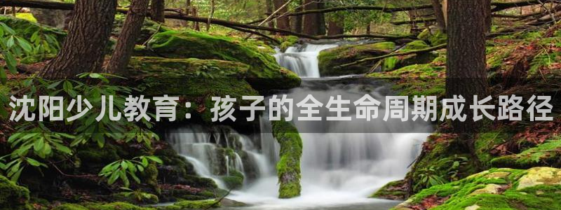 必一体育最新官网入口首页