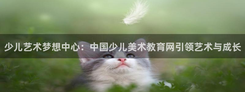 必一体育网页版登录