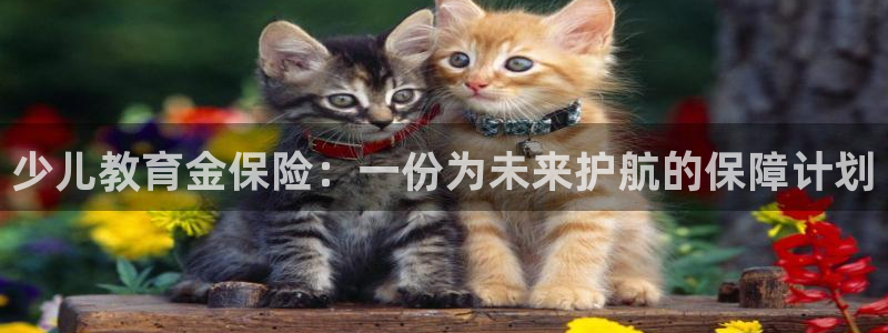 必一体育app官方正版下载