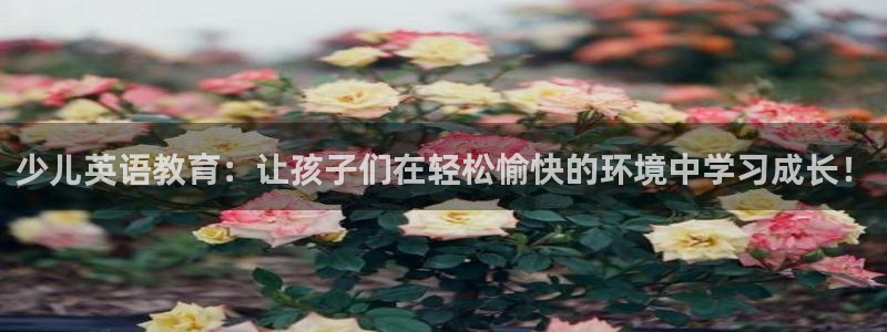 必一体育APP