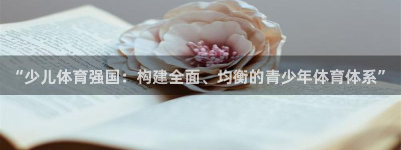必一体育app官方下载