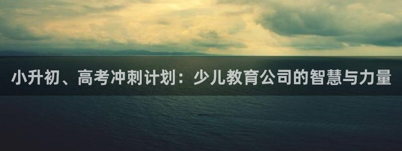 必一体育app下载装机吧