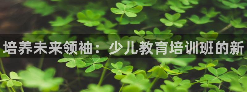 必一体育全站在线登录入口