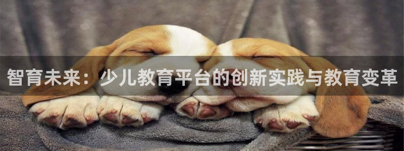 必一体育登录入口