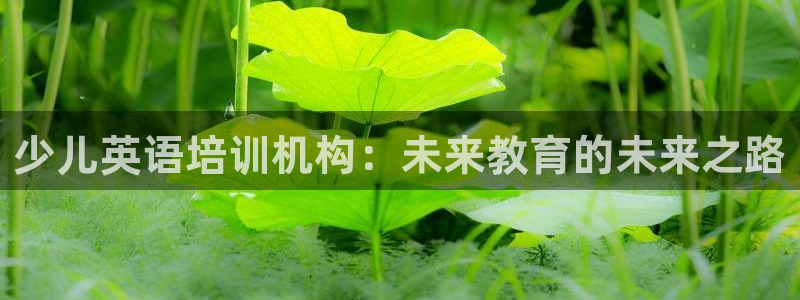 必一体育周公