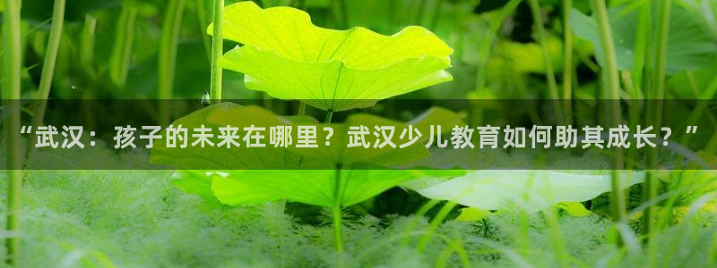 必一体育sportB体育