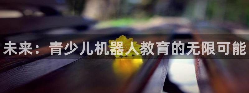 必一体育在哪下