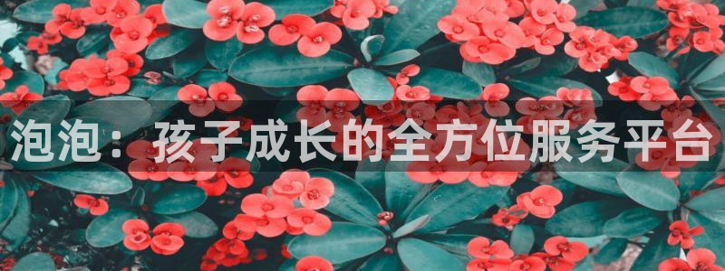 必一体育没了